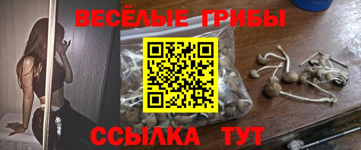 НБОМе  Cocaine  МЕФ   Метамфетамин  Кокаин  ГАШИШ  Тосно  Экстази  Вход с VPN  МАРИХУАНА  Канабис 